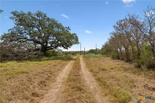 4612 County Rd 117, Floresville, TX 78114 - Photo 31