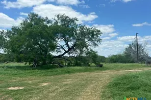 4612 County Rd 117, Floresville, TX 78114 - Photo 1
