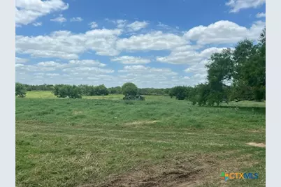 4612 County Road 117, Floresville, TX 78114 - Photo 5