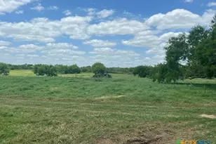 4612 County Rd 117, Floresville, TX 78114 - Photo 5