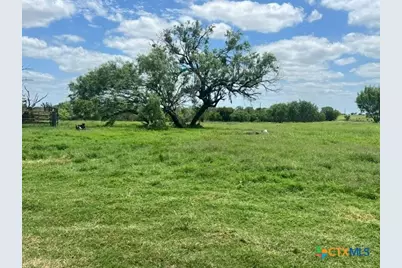 4612 County Road 117, Floresville, TX 78114 - Photo 39