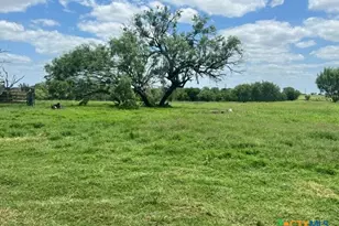 4612 County Rd 117, Floresville, TX 78114 - Photo 39
