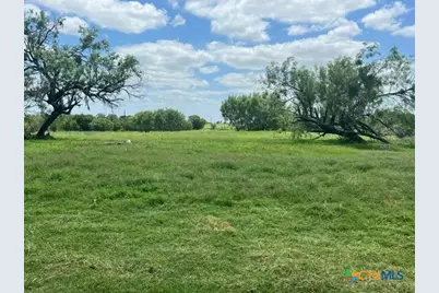 4612 County Road 117, Floresville, TX 78114 - Photo 3