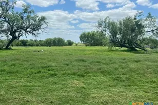 4612 County Rd 117, Floresville, TX 78114 - Photo 3