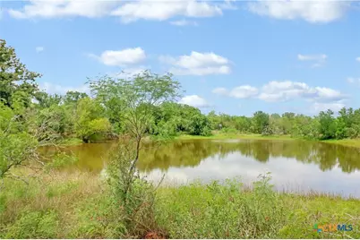 52.97Ac Cross Road, Seguin, TX 78155 - Photo 19