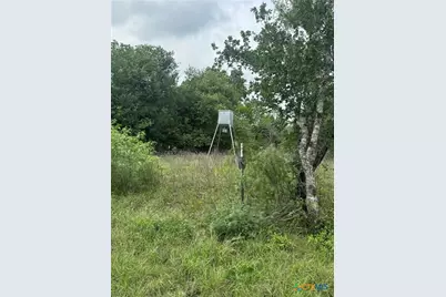 52.97Ac Cross Road, Seguin, TX 78155 - Photo 23