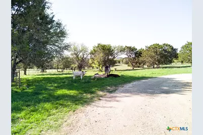 690-A County Road 4707, Kempner, TX 76539 - Photo 3