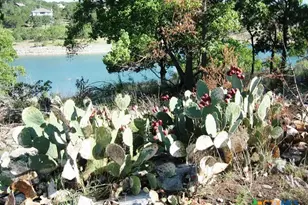 2552 Connie Dr, Canyon Lake, TX 78133 - Photo 37