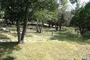 2552 Connie Dr, Canyon Lake, TX 78133 - Photo 31