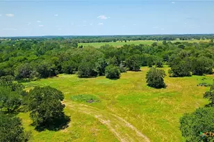 5380 County Road 132 (81 02 Acres), Caldwell, TX 77836 - Photo 13