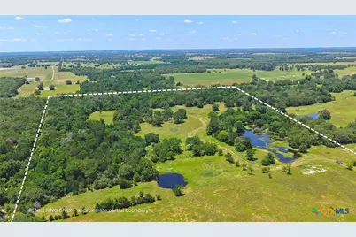 5380 County Road 132 (81.02 Acres), Caldwell, TX 77836 - Photo 9