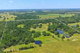 5380 County Road 132 (81 02 Acres), Caldwell, TX 77836 - Photo 9