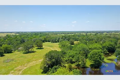 5380 County Road 132 (81.02 Acres), Caldwell, TX 77836 - Photo 15