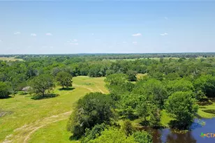 5380 County Road 132 (81 02 Acres), Caldwell, TX 77836 - Photo 15