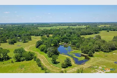 5380 County Road 132 (81.02 Acres), Caldwell, TX 77836 - Photo 11