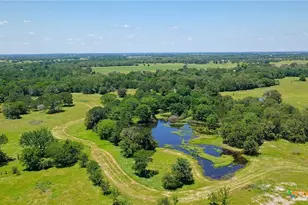 5380 County Road 132 (81 02 Acres), Caldwell, TX 77836 - Photo 11