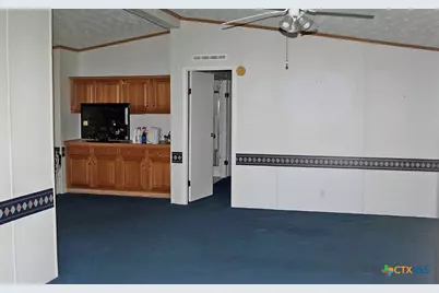 12000 Mustang Mesa Drive, Buda, TX 78610 - Photo 11