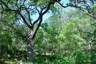 2116 Langdon Rd, Weimar, TX 78962 - Photo 33