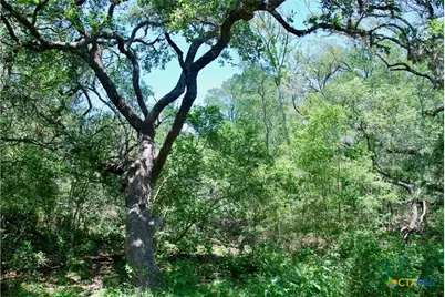 2116 Langdon Road, Weimar, TX 78962 - Photo 33
