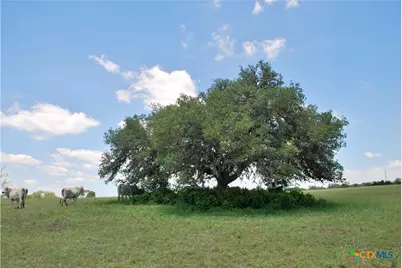 2116 Langdon Road, Weimar, TX 78962 - Photo 17