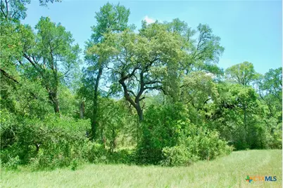 2116 Langdon Road, Weimar, TX 78962 - Photo 9