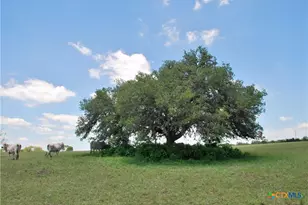 2116 Langdon Rd, Weimar, TX 78962 - Photo 17