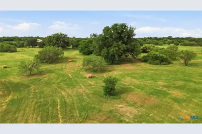 1301 Sea Willow Drive, Marion, TX 78124 - Photo 7