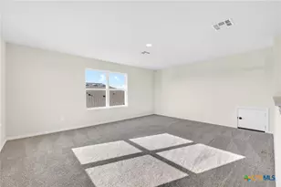 1007 Antelope Trail, Temple, TX 76504 - Photo 19