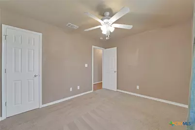 157 Dandelion Trail, San Marcos, TX 78666 - Photo 19