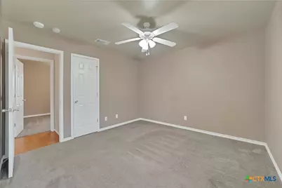 157 Dandelion Trail, San Marcos, TX 78666 - Photo 23