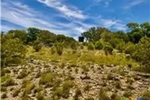 2017 Co Rd 222, Kempner, TX 76539 - Photo 7