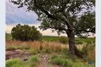 2017 County Road 222, Kempner, TX 76539 - Photo 5
