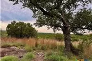 2017 Co Rd 222, Kempner, TX 76539 - Photo 5