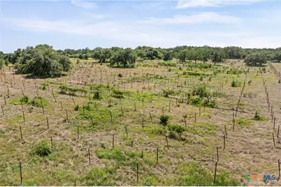 1306 Hidden Springs Drive, Salado, TX 76571 - Photo 29