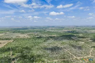 8519 State Park Rd, Lockhart, TX 78644 - Photo 19