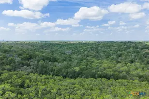 8519 State Park Rd, Lockhart, TX 78644 - Photo 15