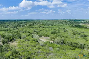 8519 State Park Rd, Lockhart, TX 78644 - Photo 37