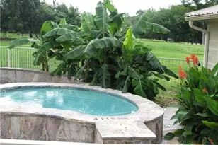 730 E Mather St, New Braunfels, TX 78130 - Photo 3