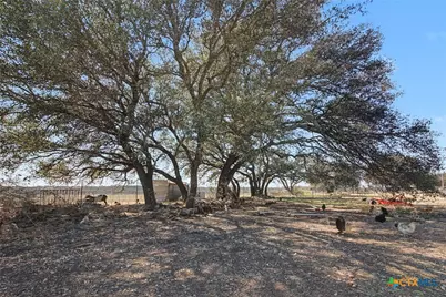 16588 N US Highway 281, Lampasas, TX 76550 - Photo 7