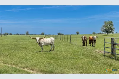 605 Fm 1682, Leesville, TX 78122 - Photo 29