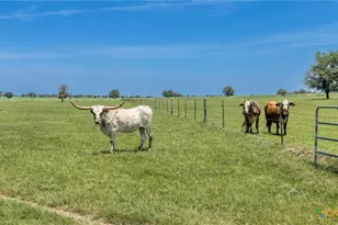605 Fm 1682, Leesville, TX 78122 - Photo 29
