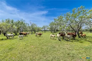 605 Fm 1682, Leesville, TX 78122 - Photo 27