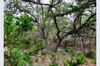 193 Appaloosa Drive, Fischer, TX 78623 - Photo 7