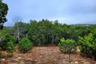 193 Appaloosa Dr, Fischer, TX 78623 - Photo 1