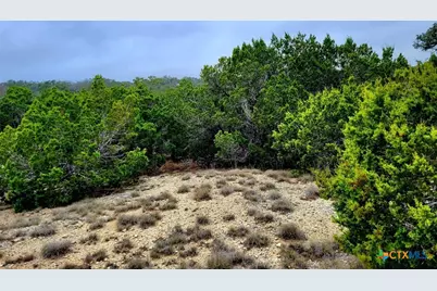 171 Appaloosa Drive, Fischer, TX 78623 - Photo 5