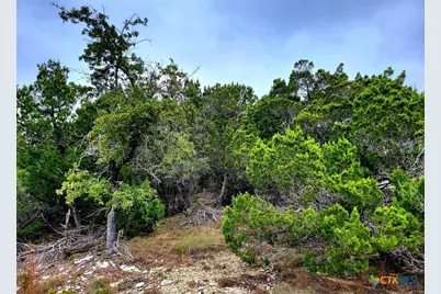 171 Appaloosa Drive, Fischer, TX 78623 - Photo 1
