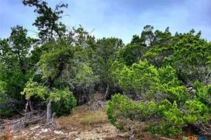 171 Appaloosa Dr, Fischer, TX 78623 - Photo 1