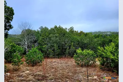 171 Appaloosa Drive, Fischer, TX 78623 - Photo 7