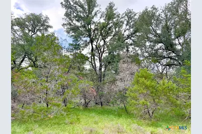 Tbd Lot 43A Narrows Road #1, Blanco, TX 78606 - Photo 9