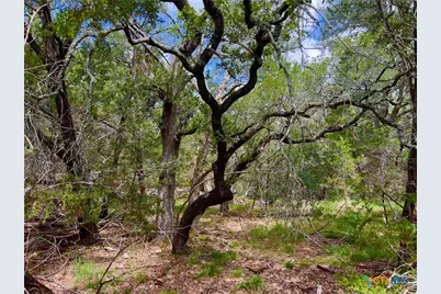 Tbd Lot 43A Narrows Road #1, Blanco, TX 78606 - Photo 7